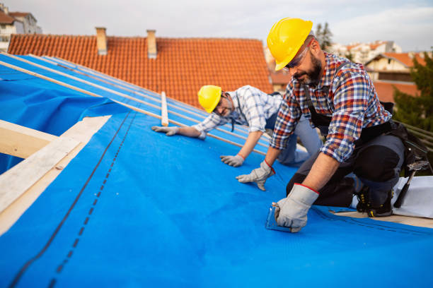 Best Roof Insulation Installation  in Sheboygan Falls, WI